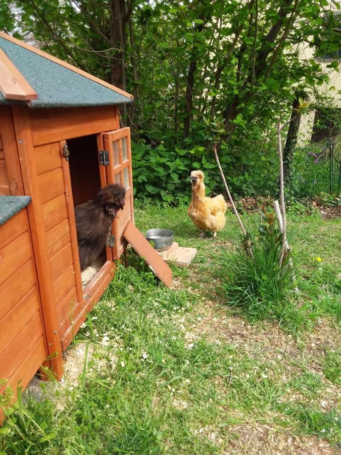 B&B Podere Legnotorto Castel del Piano  Eksteriør bilde
