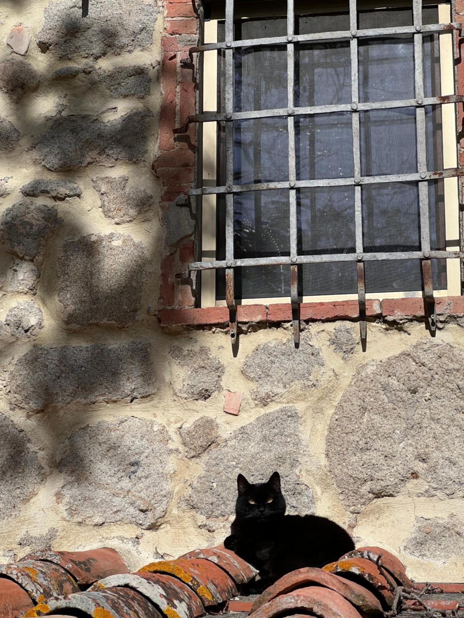 B&B Podere Legnotorto Castel del Piano  Eksteriør bilde