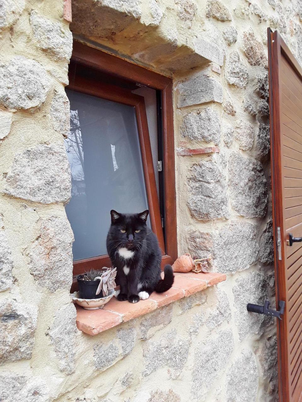 B&B Podere Legnotorto Castel del Piano  Eksteriør bilde
